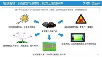 運營商大數(shù)據(jù)的深度思考與中國電信智慧畜牧案例解析 物聯(lián)網(wǎng)技術(shù)賦能產(chǎn)業(yè)新生態(tài)